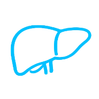 肝臟 icon